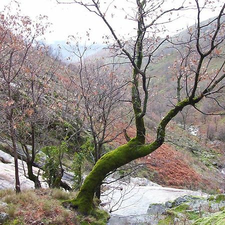 La Casita Del Jerte Lägenhet Cabezuela Del Valle Exteriör bild