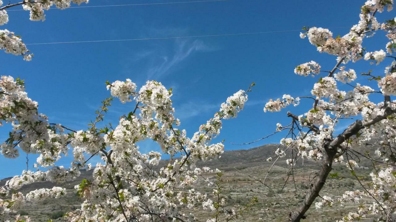 La Casita Del Jerte Lägenhet Cabezuela Del Valle Exteriör bild